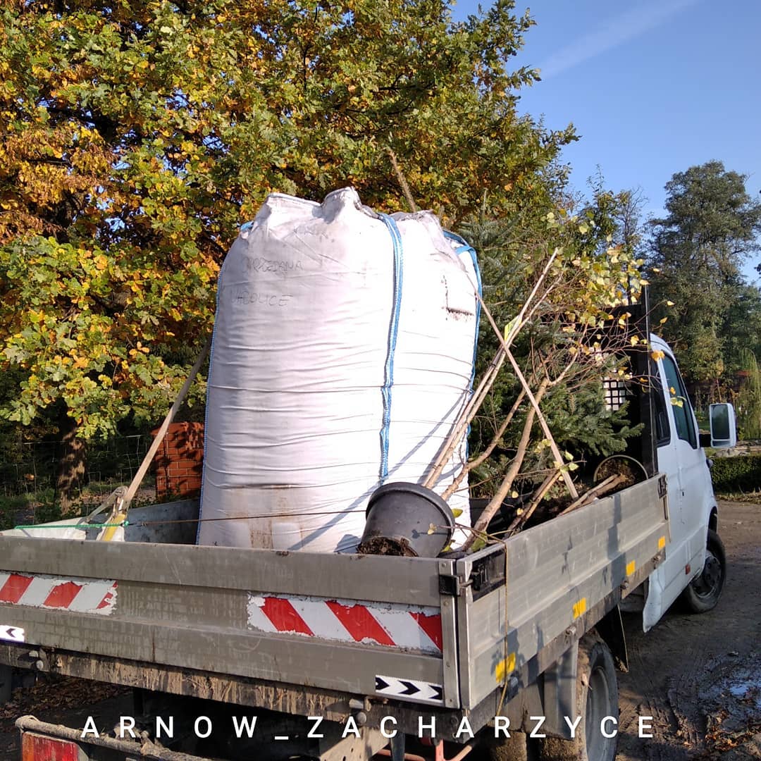TRANSPORT ARNOW SZKOLKA ROSLIN.jpg
